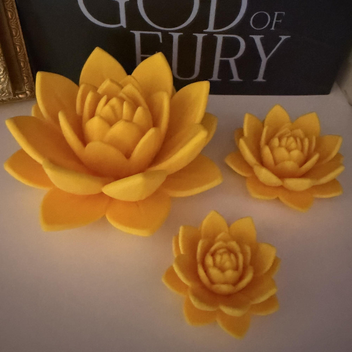 Lotus Flower